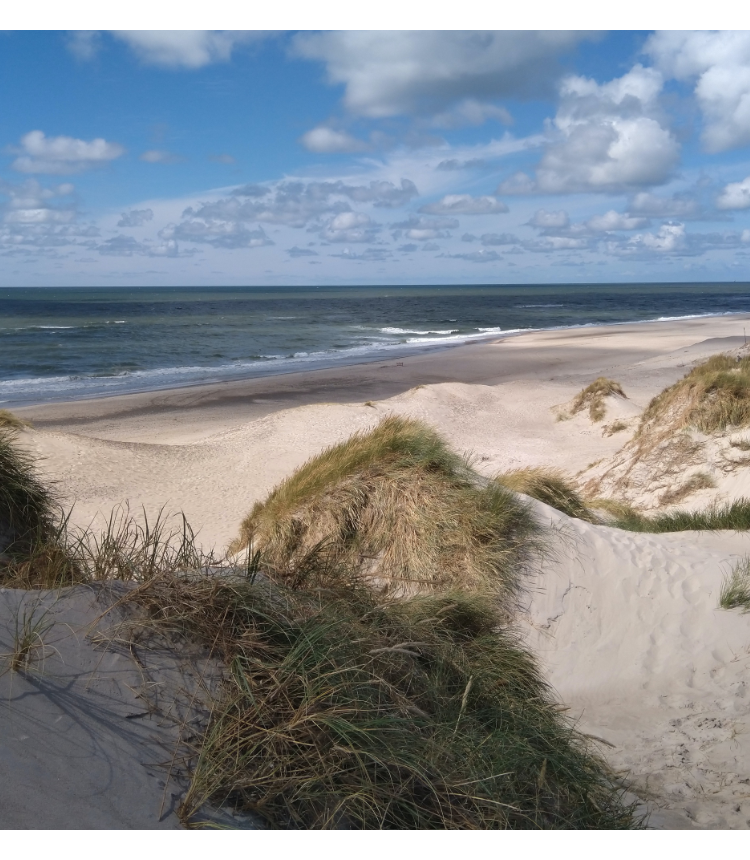 a landscape view of a beach and blue skies