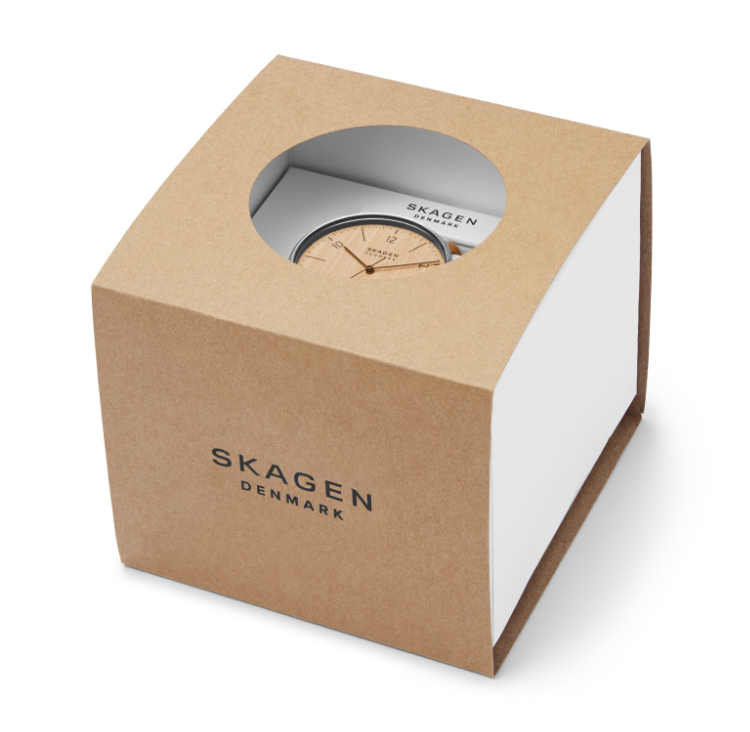 Image of a watch in Skagen packaging.