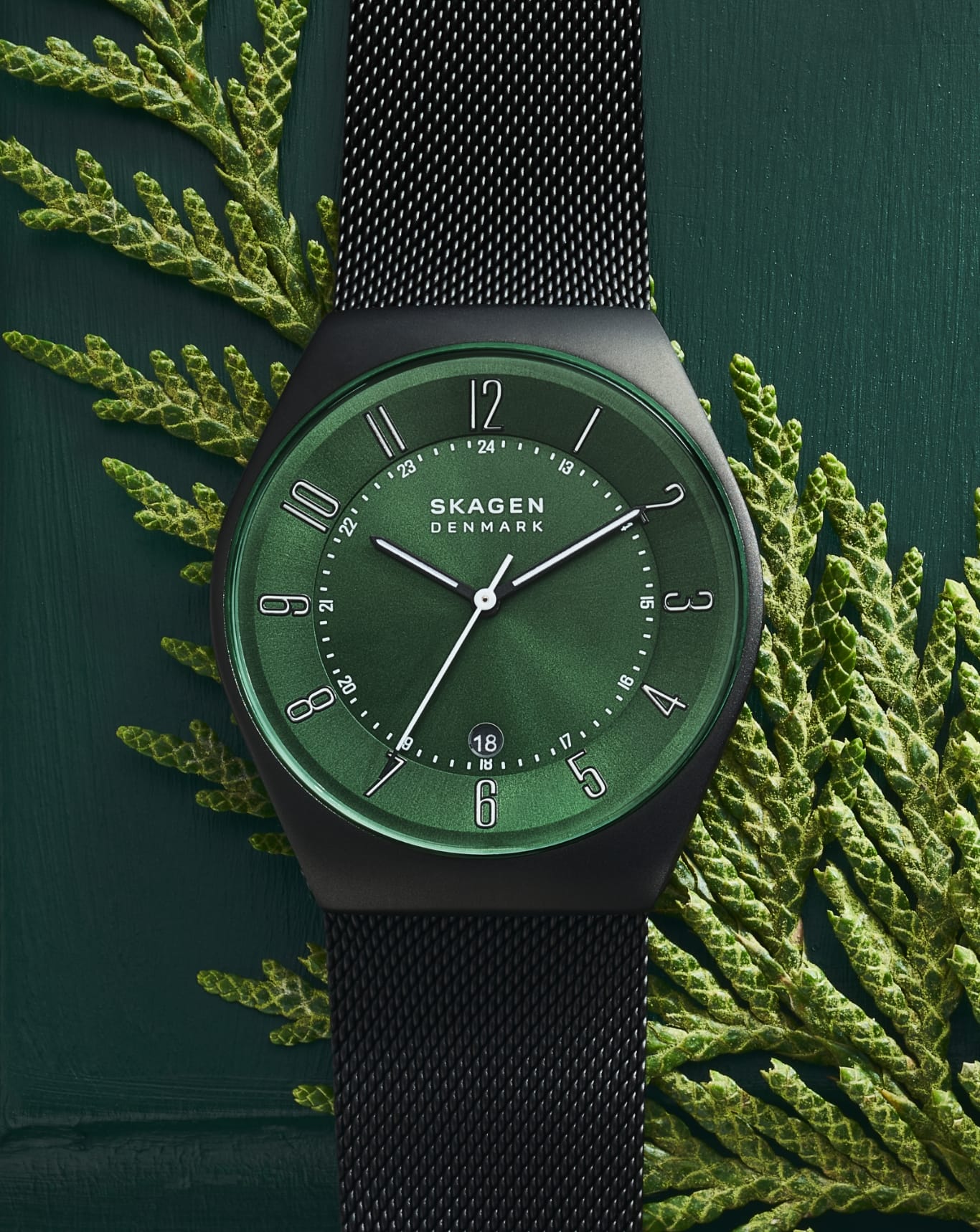 Image of a watch with a green dial
