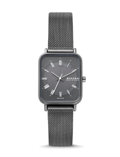 skagen watch