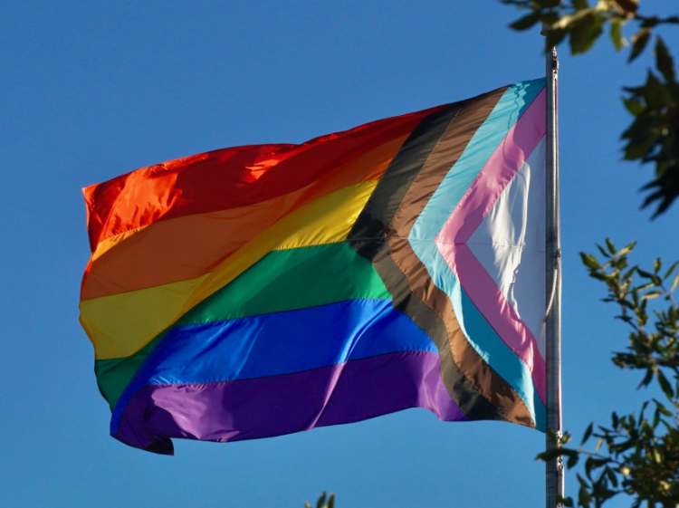 Image of a crowd attending a pride rally.