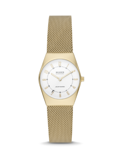 skagen watch