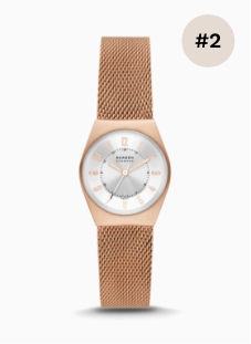 Skagen watch