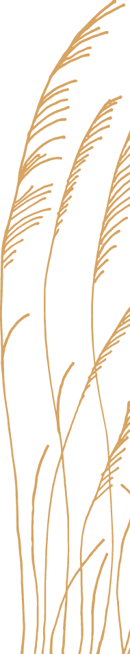 hand-drawn illustration of grass