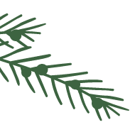 Branch illustration.