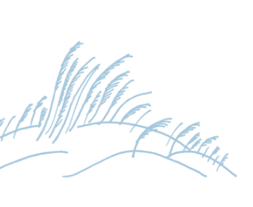 Illustration of sea grass
