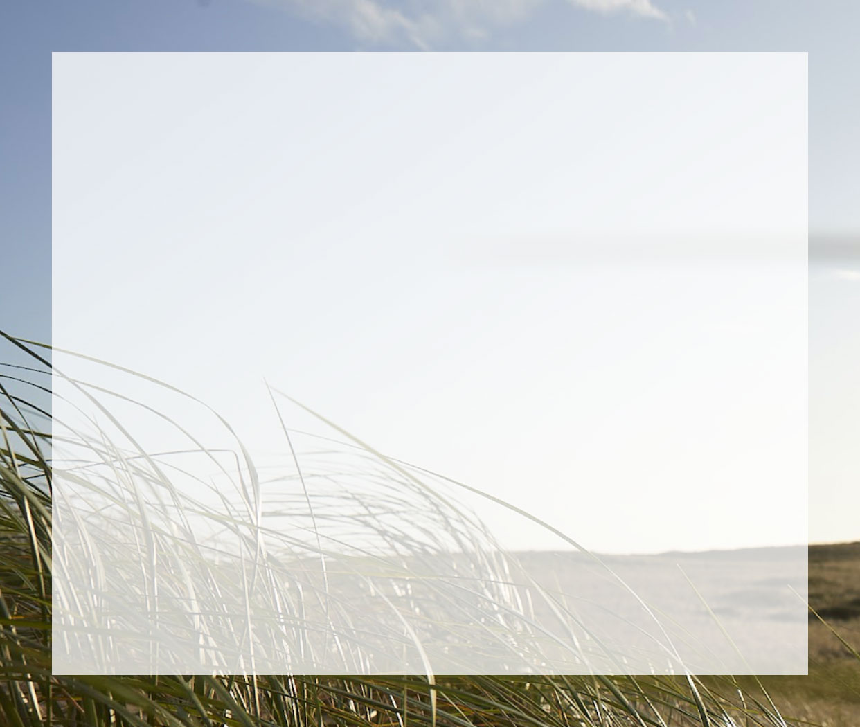 gradient background