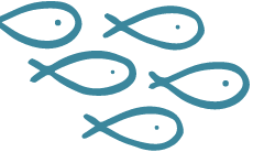 hand drawn fish decor