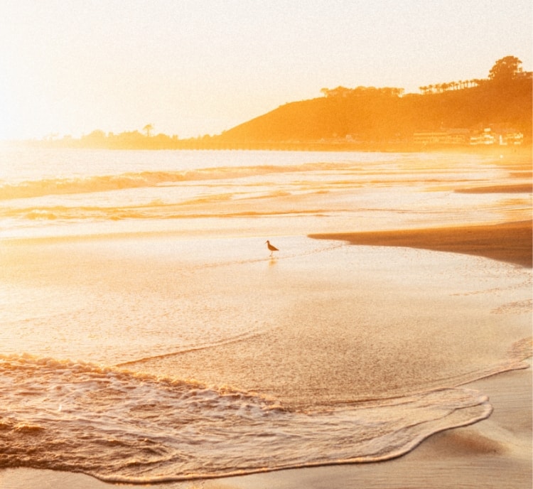 Image of a shoreline