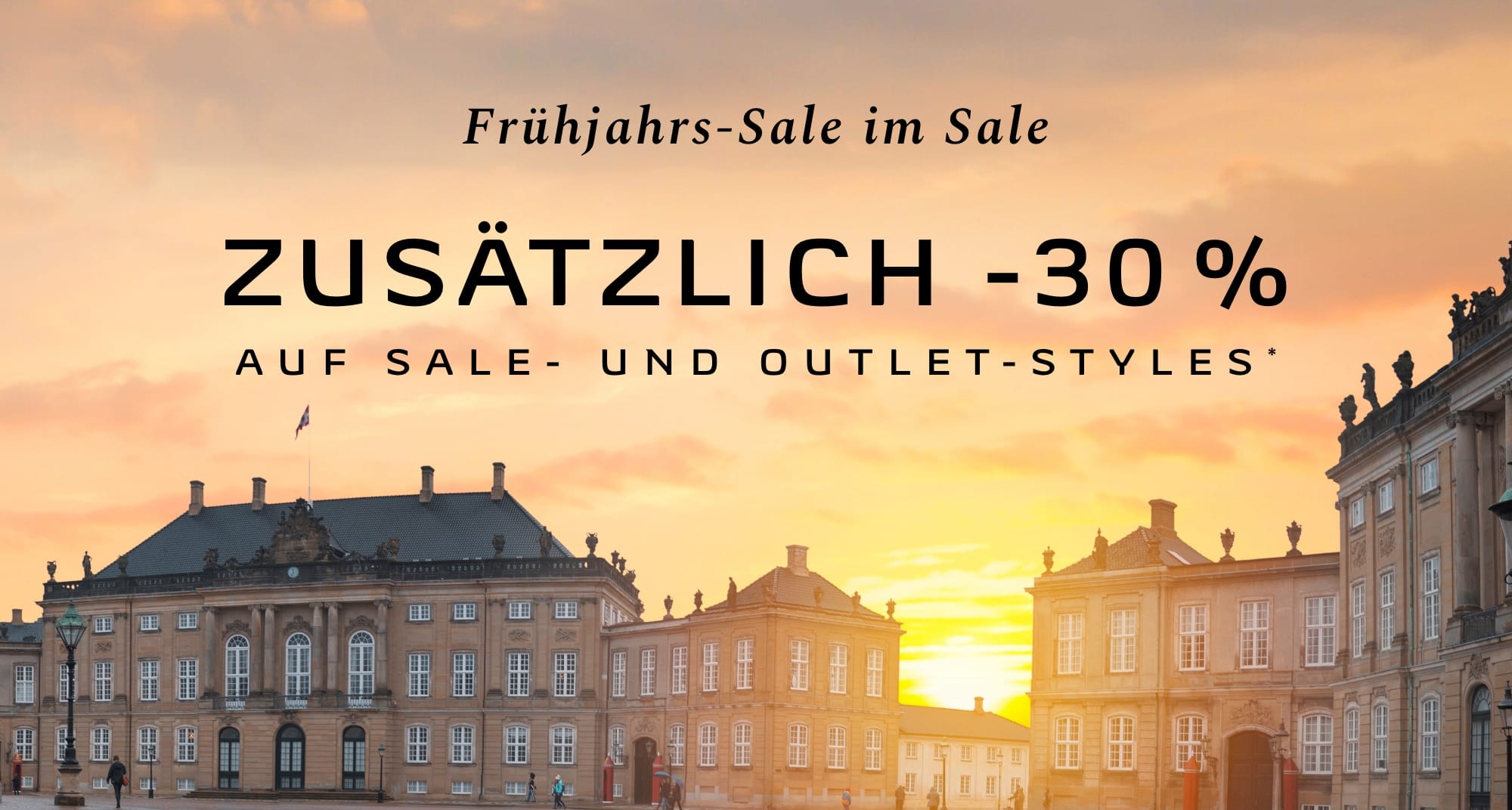 skagen schmuck damen sale