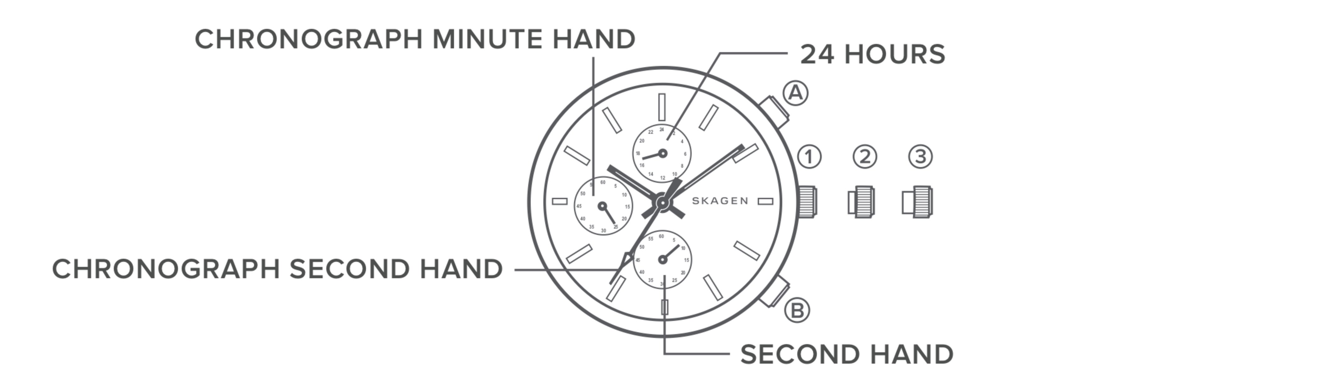 line art of a chronograph watch dial, identifying the parts of the watch.