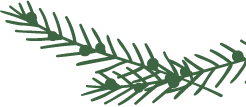 pine needles