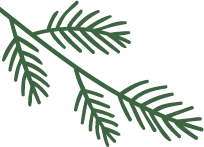 pine needles