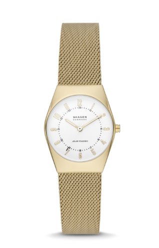 Skagen watch