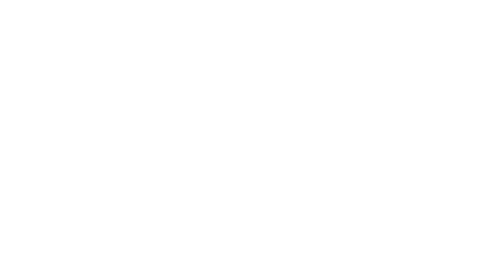 save the waves logo