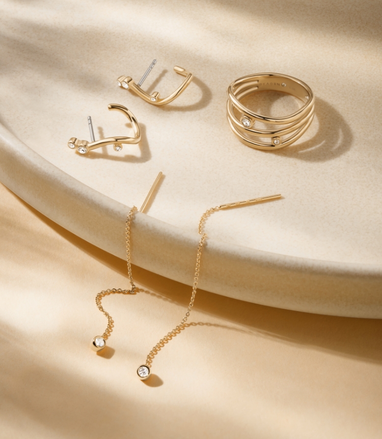 A carousel of images showcasing Skagen's holiday collection of accessories