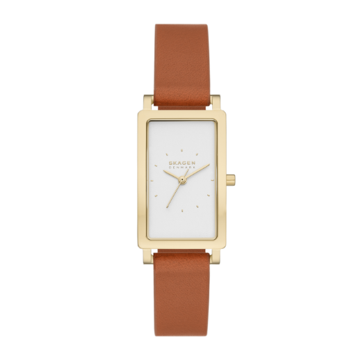 Skagen men's watch