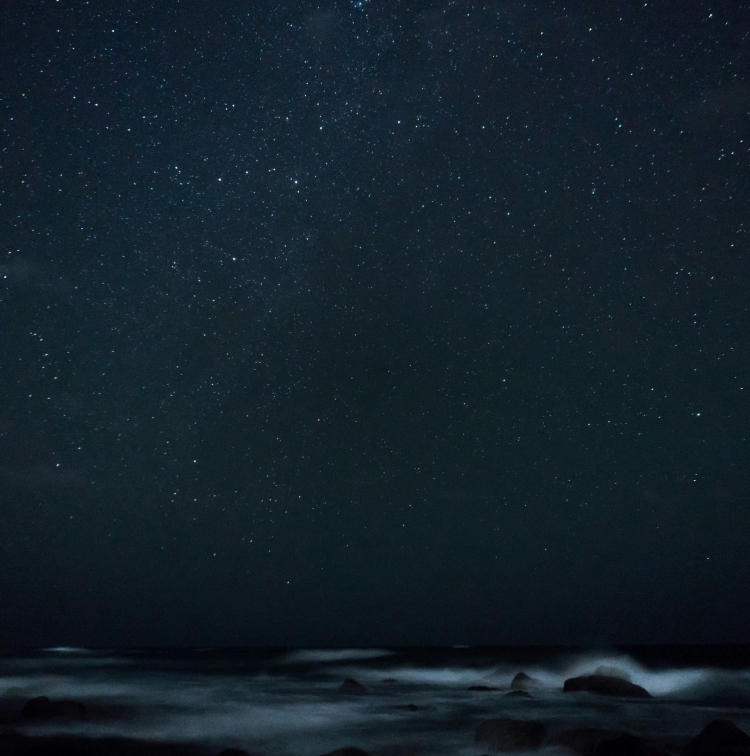 Ocean & on-model block