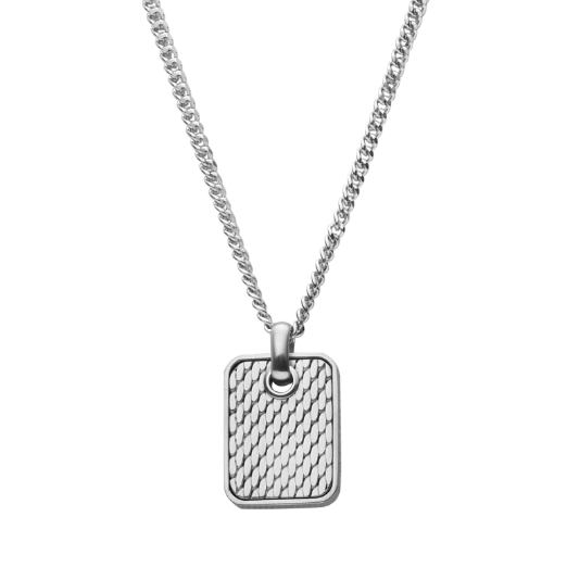 Skagen women's necklace.