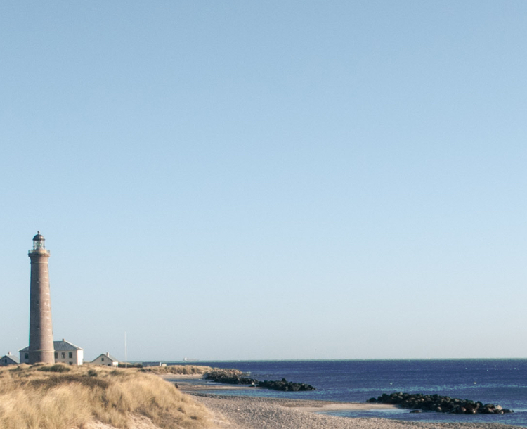 landscape view of an ocean