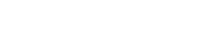 NACHHALTIGE KOLLEKTIONEN