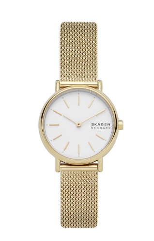 Skagen men's watch