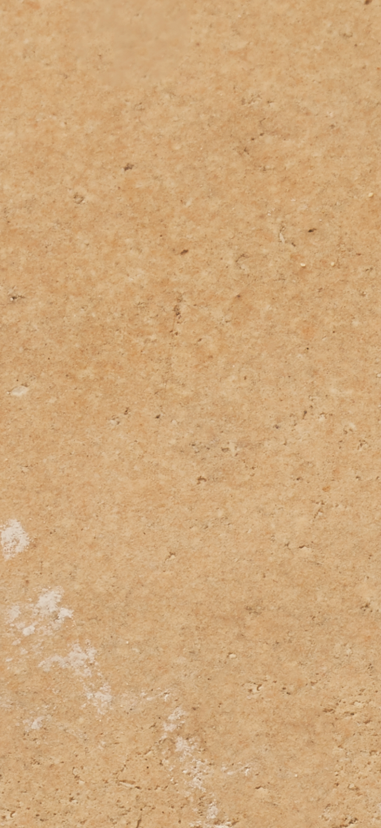 brown natural background image