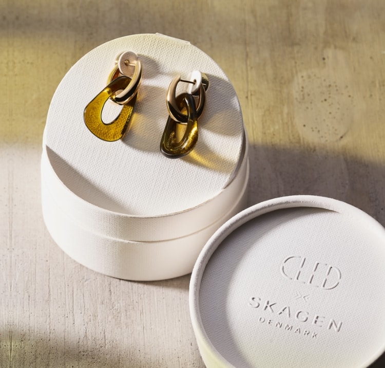 Image of Skagen packaging